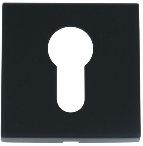 1831456866 FORMANI Cilinderplaatje